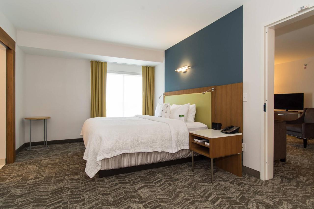 Springhill Suites By Marriott Charlotte Ballantyne Kültér fotó